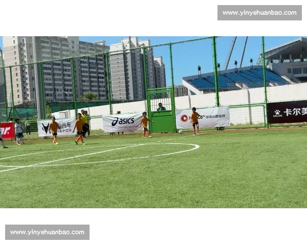 百队杯球场:热血与成长的十年印记 百队杯球场:热血与成长的十年印记